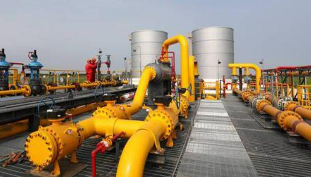 澳门特区第八届立法会选举竞选活动开始